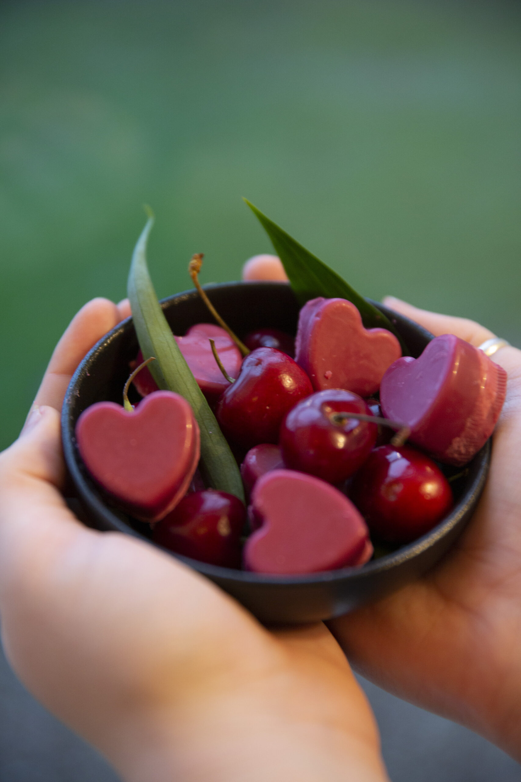 Black Cherry Clam Shell - Image 3