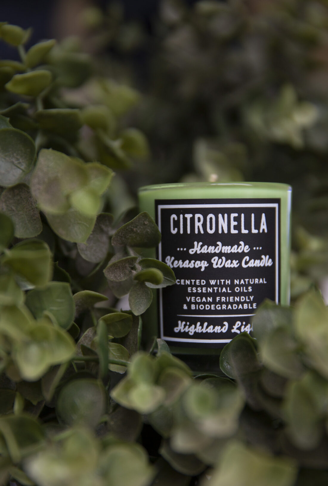 Citronella Candle - Image 7