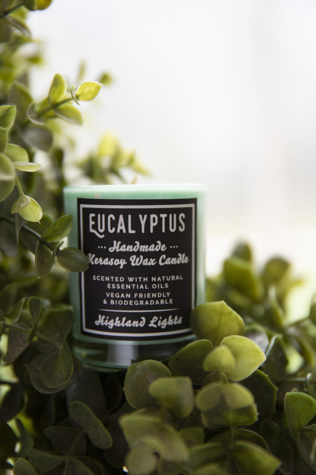 Eucalyptus Candles - Image 4