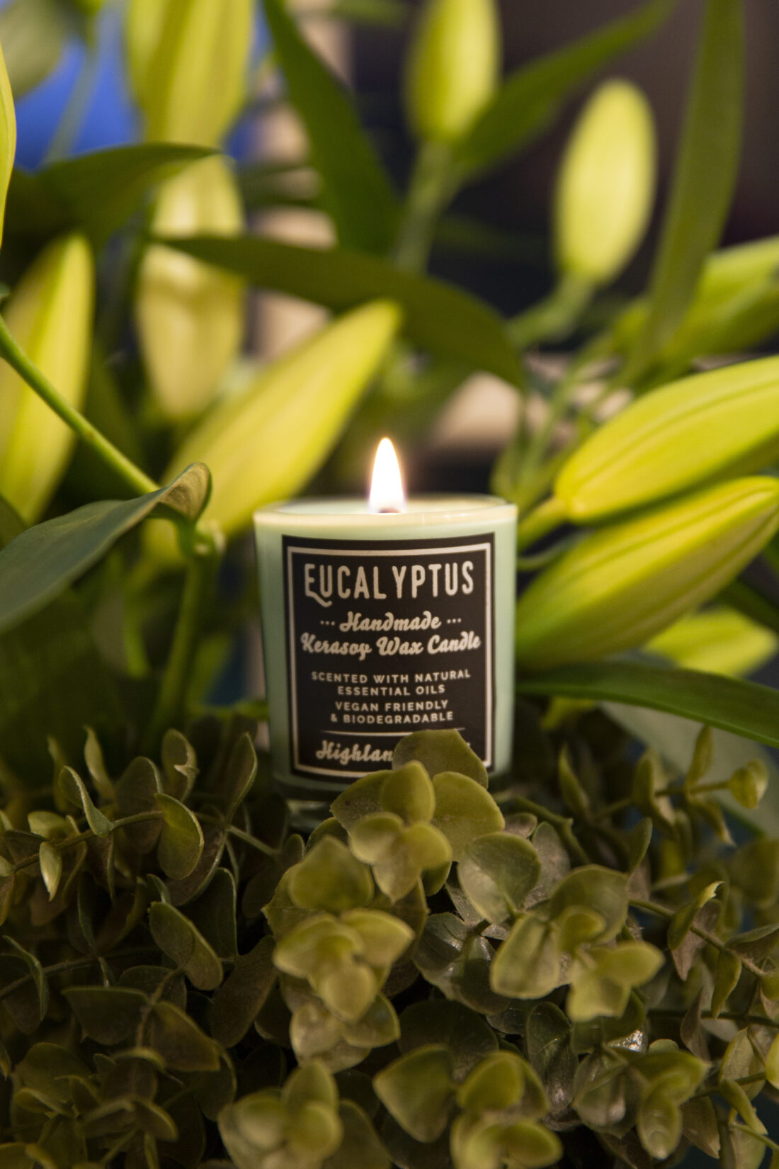 Eucalyptus Candles - Image 3