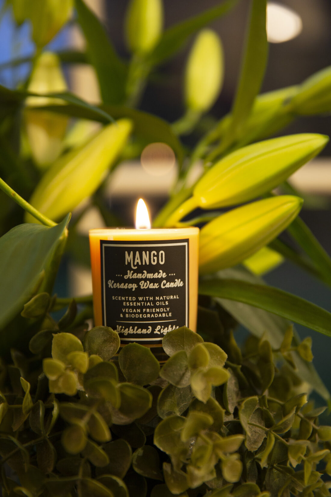 Mango Candle - Image 3